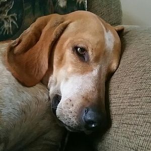 Meet your Posher, Karen