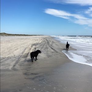 Meet your Posher Stylie:)