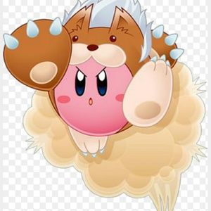 Meet your Posher, Joy