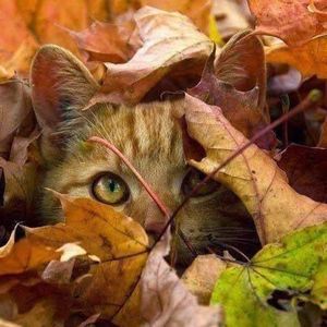 Meet your Posher, Annette