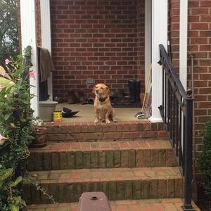 Meet your Posher, Will