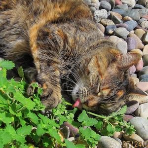 Meet your Posher, Christine