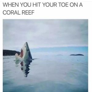 Meet your Posher, Theodore