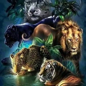 Meet your Posher, Sylvia