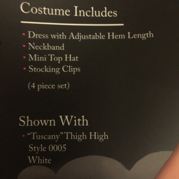 Female Costume - Picture 2 of 2