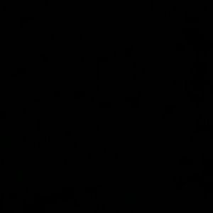 Meet your Posher, Theodore