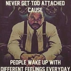 Meet your Posher, Dante