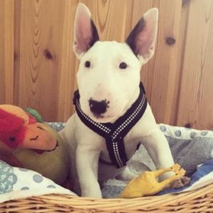 Meet your Posher, Eric