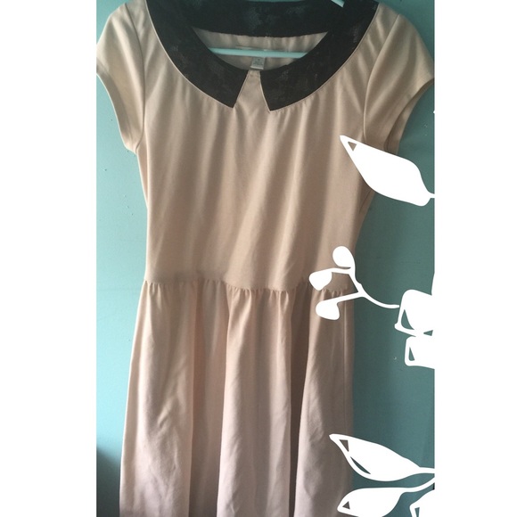 Collared Dress