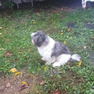 Meet your Posher, Maureen