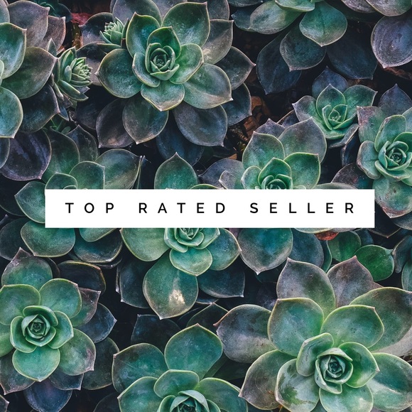 I'm a Posh Mentor! - Picture 2 of 3