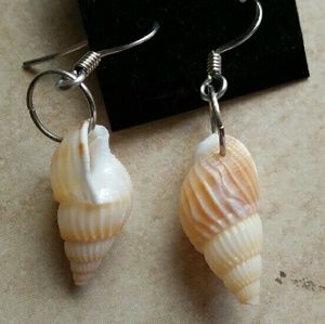 Seashell Earrings