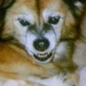 Meet your Posher, Ayako