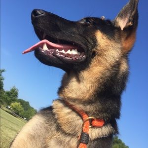 Meet your Posher, Christy