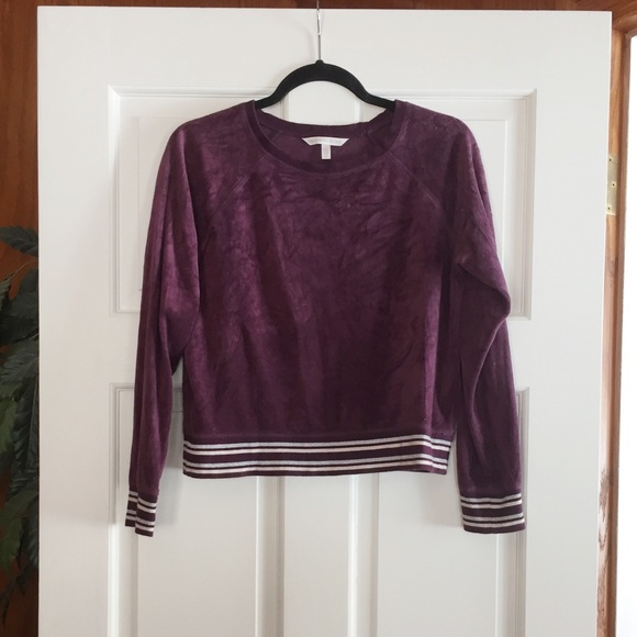 Victoria's Secret Velvet Sweater MOVING SALE - Picture 2 of 2