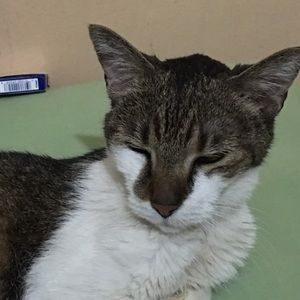 Meet your Posher, Candice