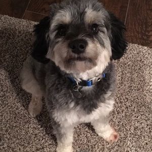 Meet your Posher, Deborah