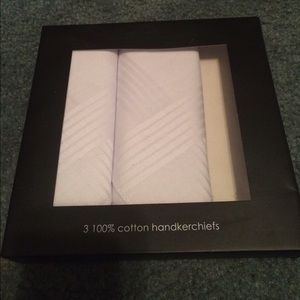 2 men's handkerchiefs (white)