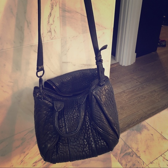 Alexander Wang fun bag