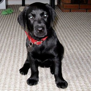 Meet your Posher, Kristin