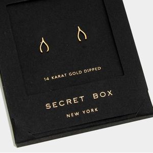 14K Gold Dipped Wishbone Stud Earrings - Delicate