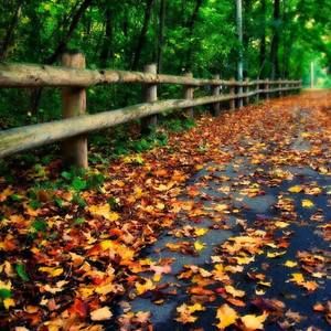 Meet your Posher, Rhonda