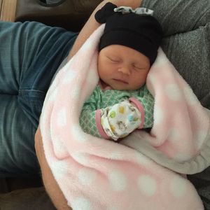 Meet your Posher, Dawn