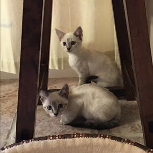 Meet your Posher, Natalie