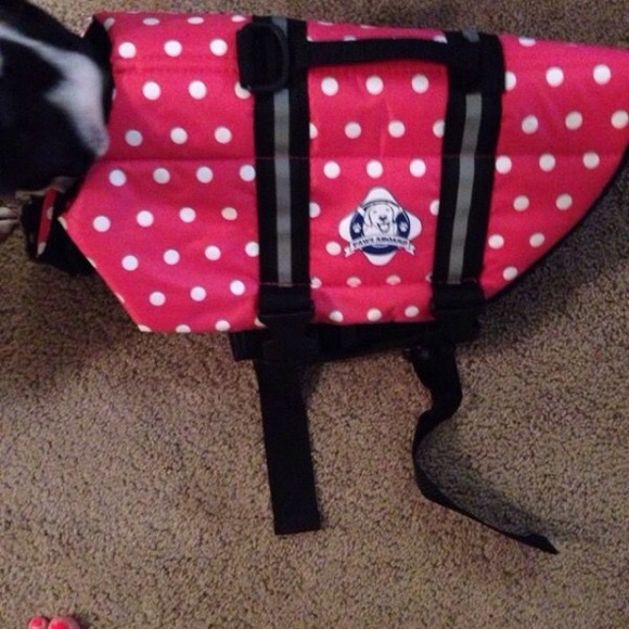 Dog life vest