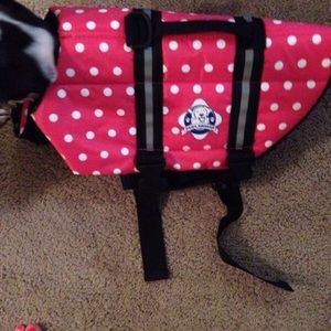 Dog life vest