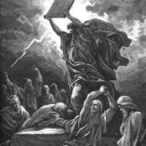 Meet your Posher, Barry