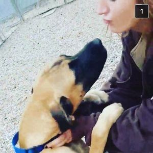 Meet your Posher, Heidi