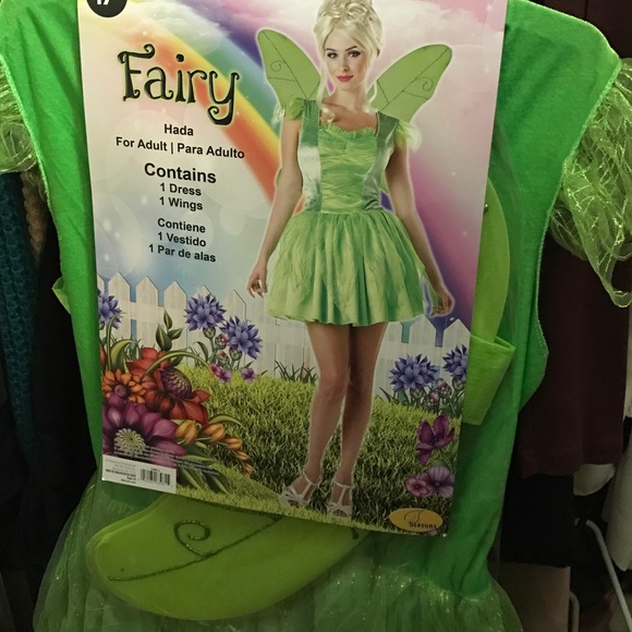 Fairy costume