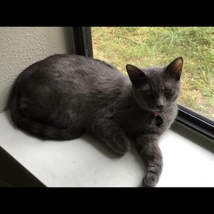 Meet your Posher, Lindsey