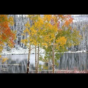 Meet your Posher, Cortnee