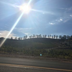 Meet your Posher, Bree