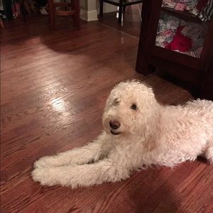 Meet your Posher, Jolayne