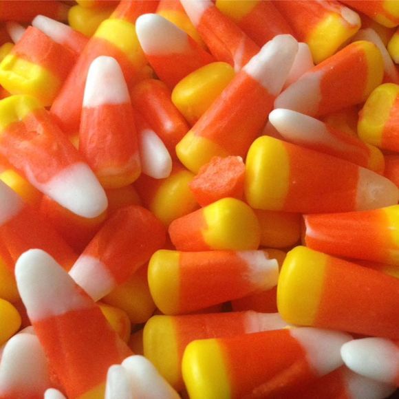 Meet your Posher, Thelma