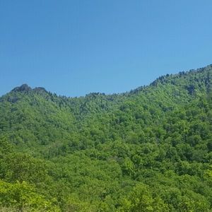 Meet your Posher, Renita