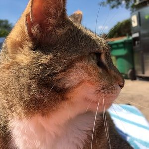 Meet your Posher, Roberta