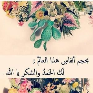 Meet your Posher, Lara