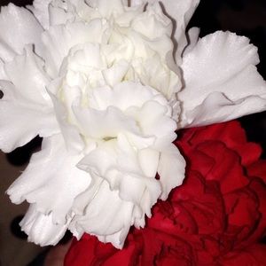 Meet your Posher, Adrienne