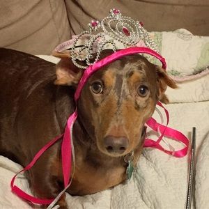 Meet your Posher, Beth