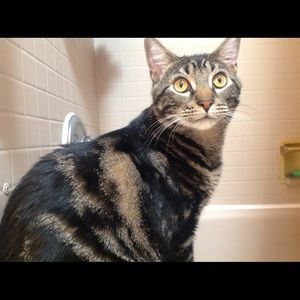 Meet your Posher, Maria