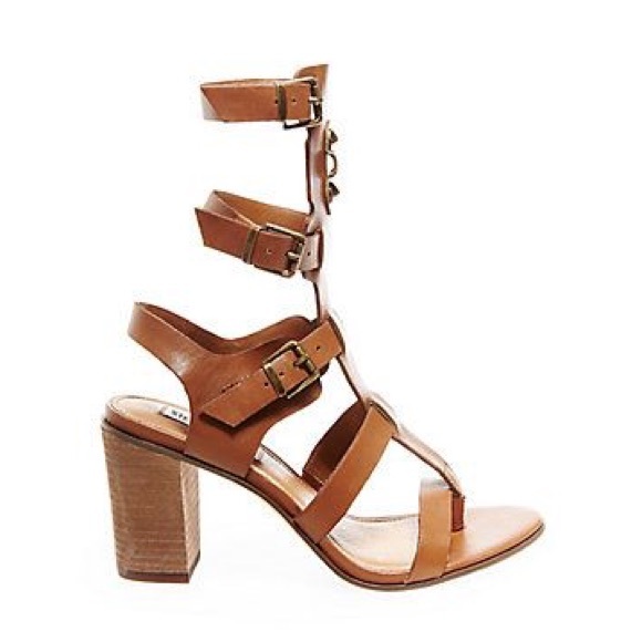 Steve Madden Shoes - 🆕Cognac T-Strap Gladiator Sandals