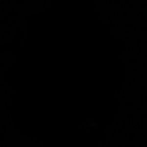 Meet your Posher, Lucy