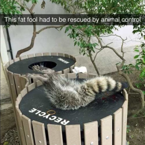 Meet your Posher, Travis