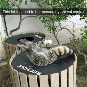 Meet your Posher, Travis