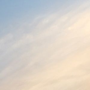 Meet your Posher, Avery