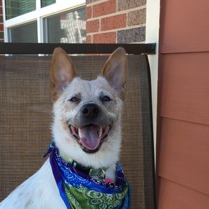 Meet your Posher, Jackie